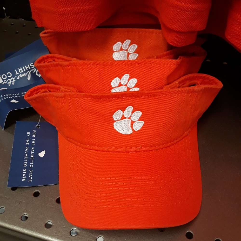 Visors